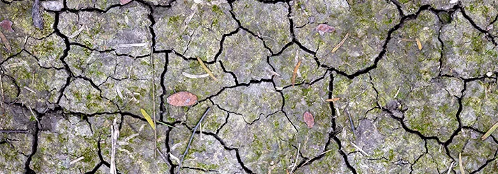 FC – Dry Eye Syndrome Treatment at OPTIMAX VISION in Cypress TX